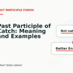 Past Participle of Catch: Meaning and Examples